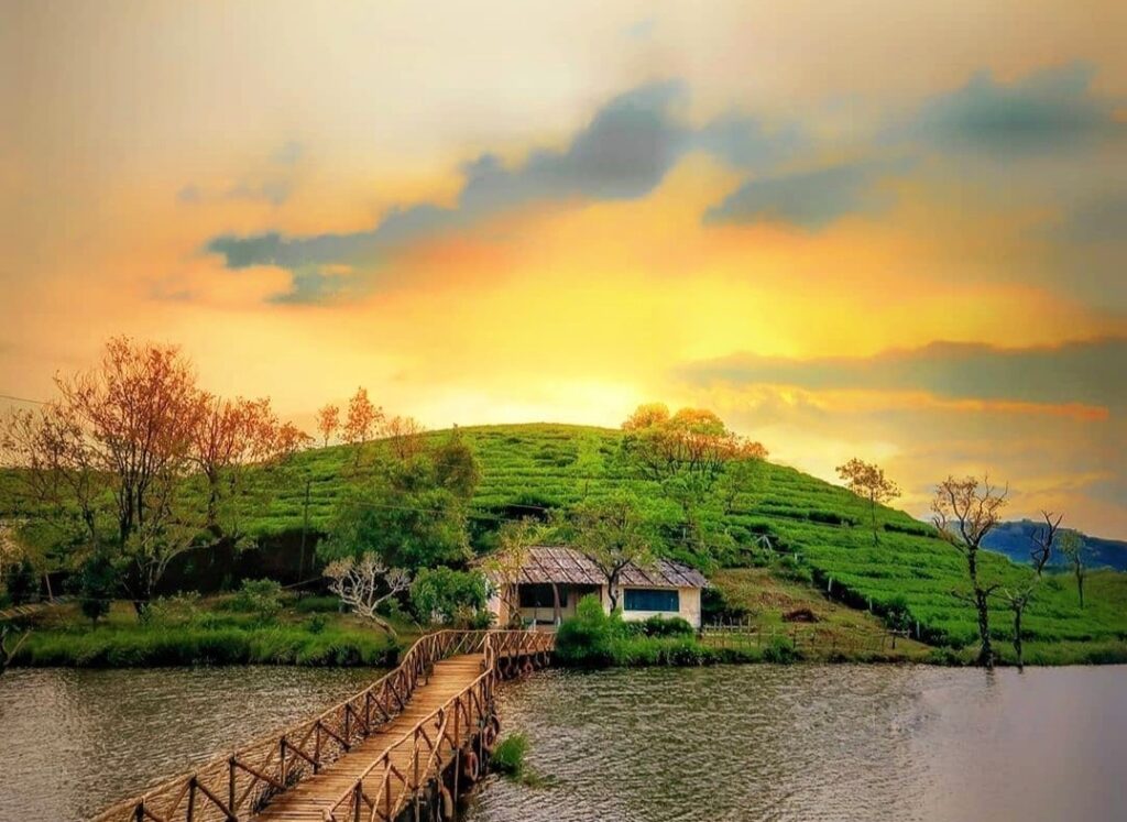 Things to do in Vagamon explore the beauty of Keralas hill station