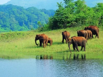 periyar wildlife sanctuary 
