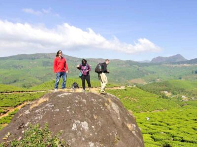Why Visit Munnar? Top Reasons to Explore Kerala's Hill Paradise 