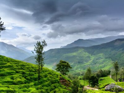 Wayanad 