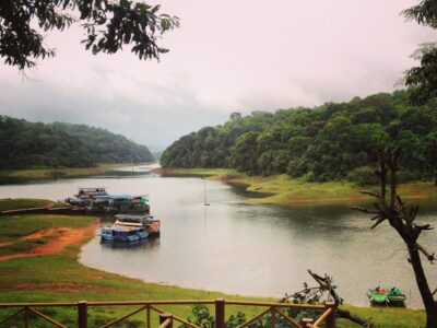 f85152f247bf5d73cfc732271eb160d3 Periyar River - Thekkady Kerela