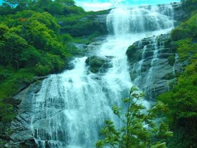images (1) munnar