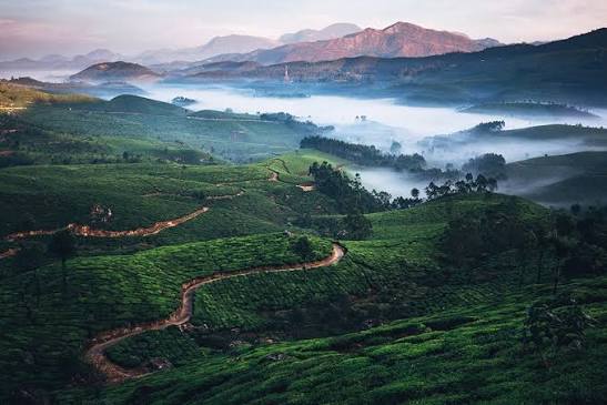 images (4) Discover Munnar