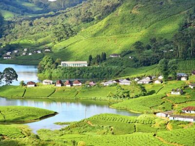 munnar - Kerala Tourism