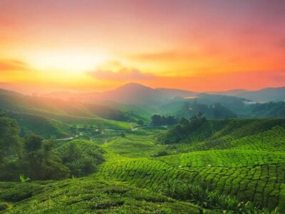 munnar tourist places