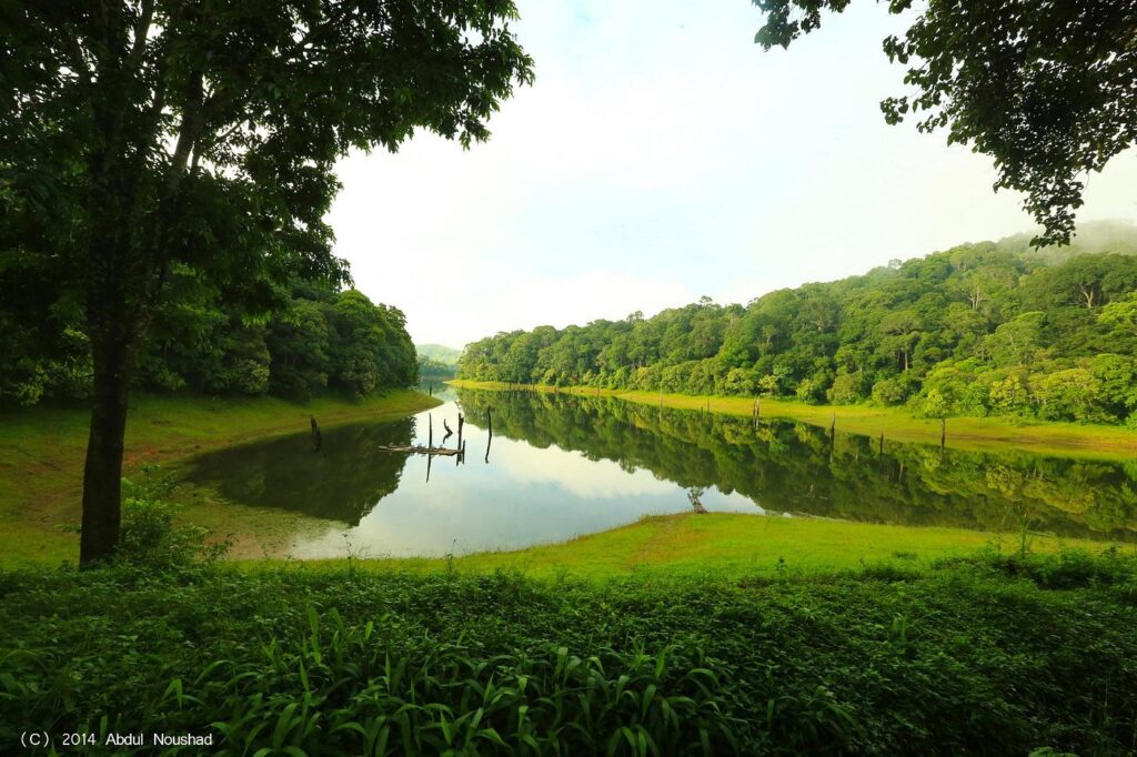 thekkady thekkady