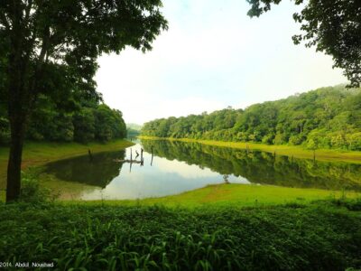 thekkady thekkady
