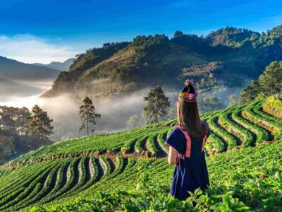 top attractions in munnar