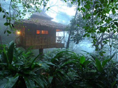 Why Choose Munnar Honeymoon Destination for a Romantic Trip
