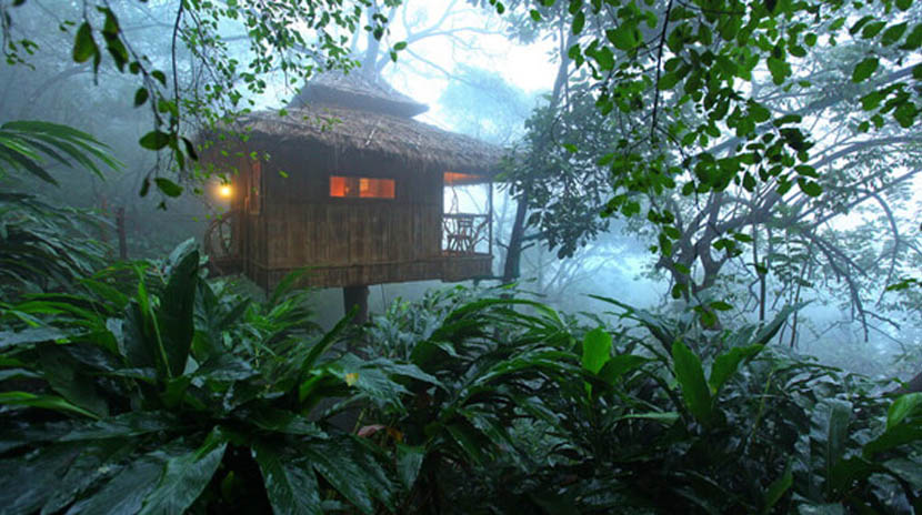 vanya tree house in thekkady Why Choose Munnar Honeymoon Destination for a Romantic Trip