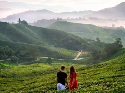 vagamon