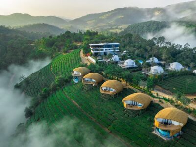 best honey trip